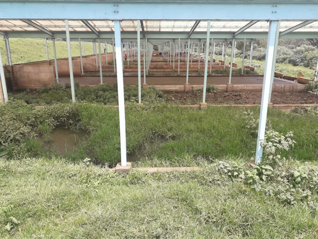 GDUDelivery's tweet photo. The Kericho Sewerage Improvement Project involves the installation of 6.9KM trunk sewer lines, construction of four sanitation blocks and the rehabilitation of the main sewer treatment plant. #GoKDelivers ^LC https://t.co/TSPyUHlQBY
