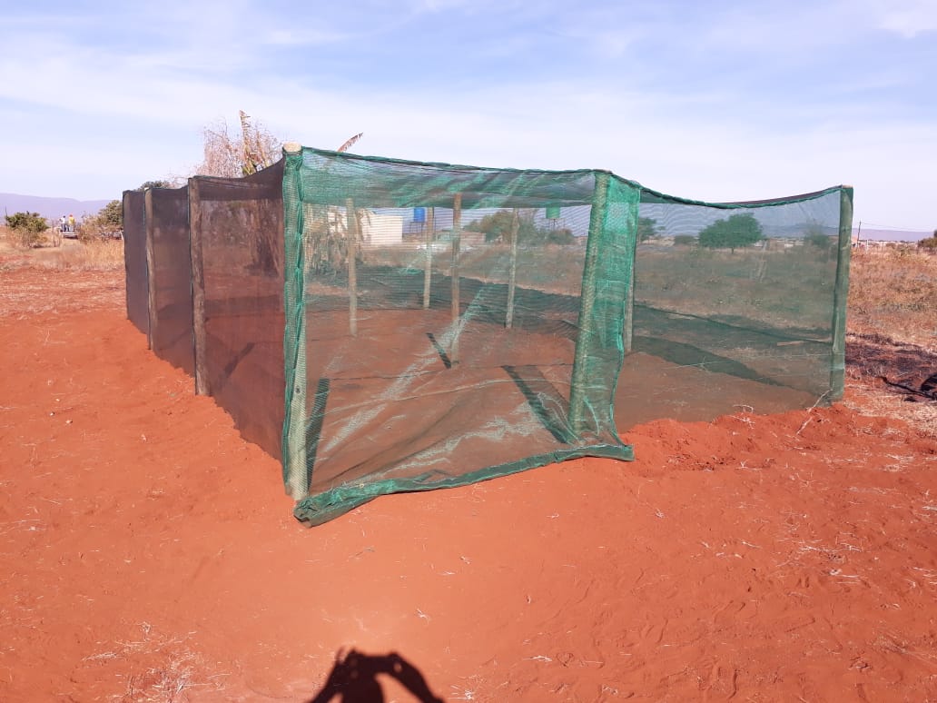MIT_ORG's tweet photo. The @MDA_2017 donated poles for shade nets to Mr Zitha, a subsistence farmer in Bushbuckridge, Mpumalanga. #sustainableliving #MDASiyaphambili #MITCares https://t.co/tWAJ46zOV6