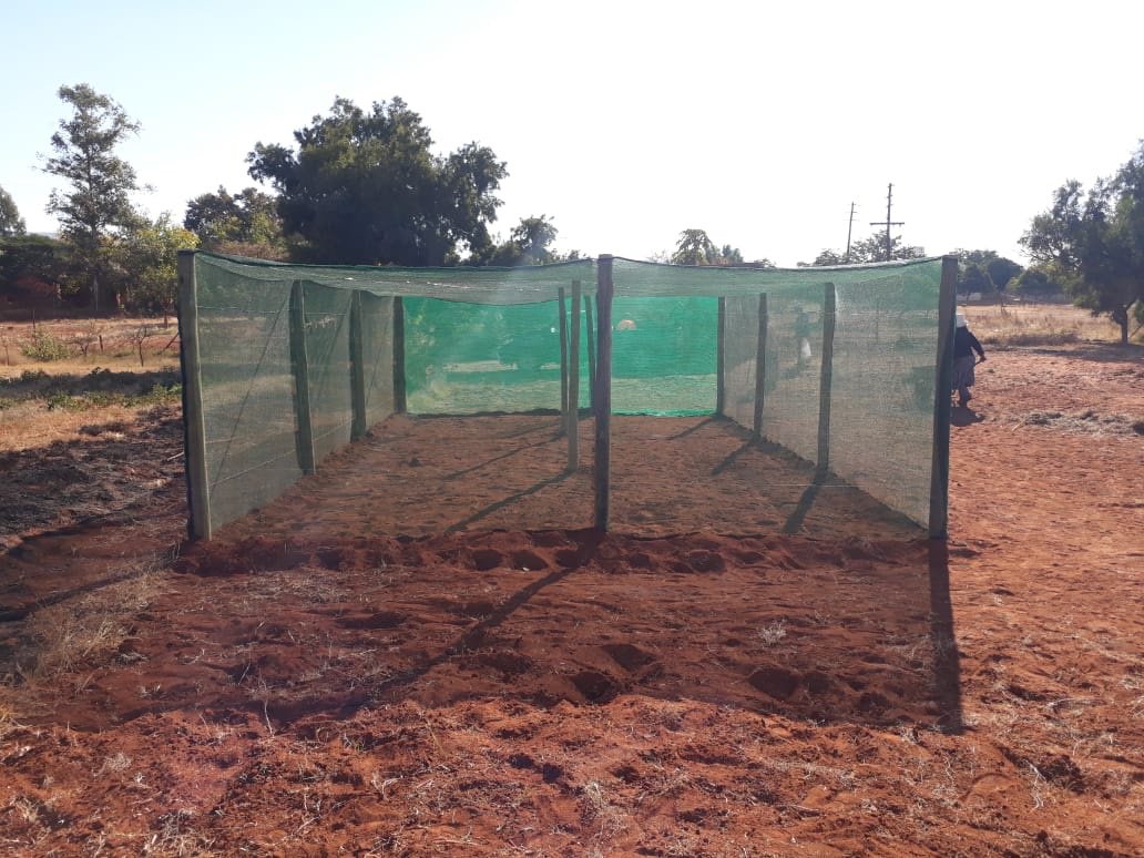 MIT_ORG's tweet photo. The @MDA_2017 donated poles for shade nets to Mr Zitha, a subsistence farmer in Bushbuckridge, Mpumalanga. #sustainableliving #MDASiyaphambili #MITCares https://t.co/tWAJ46zOV6