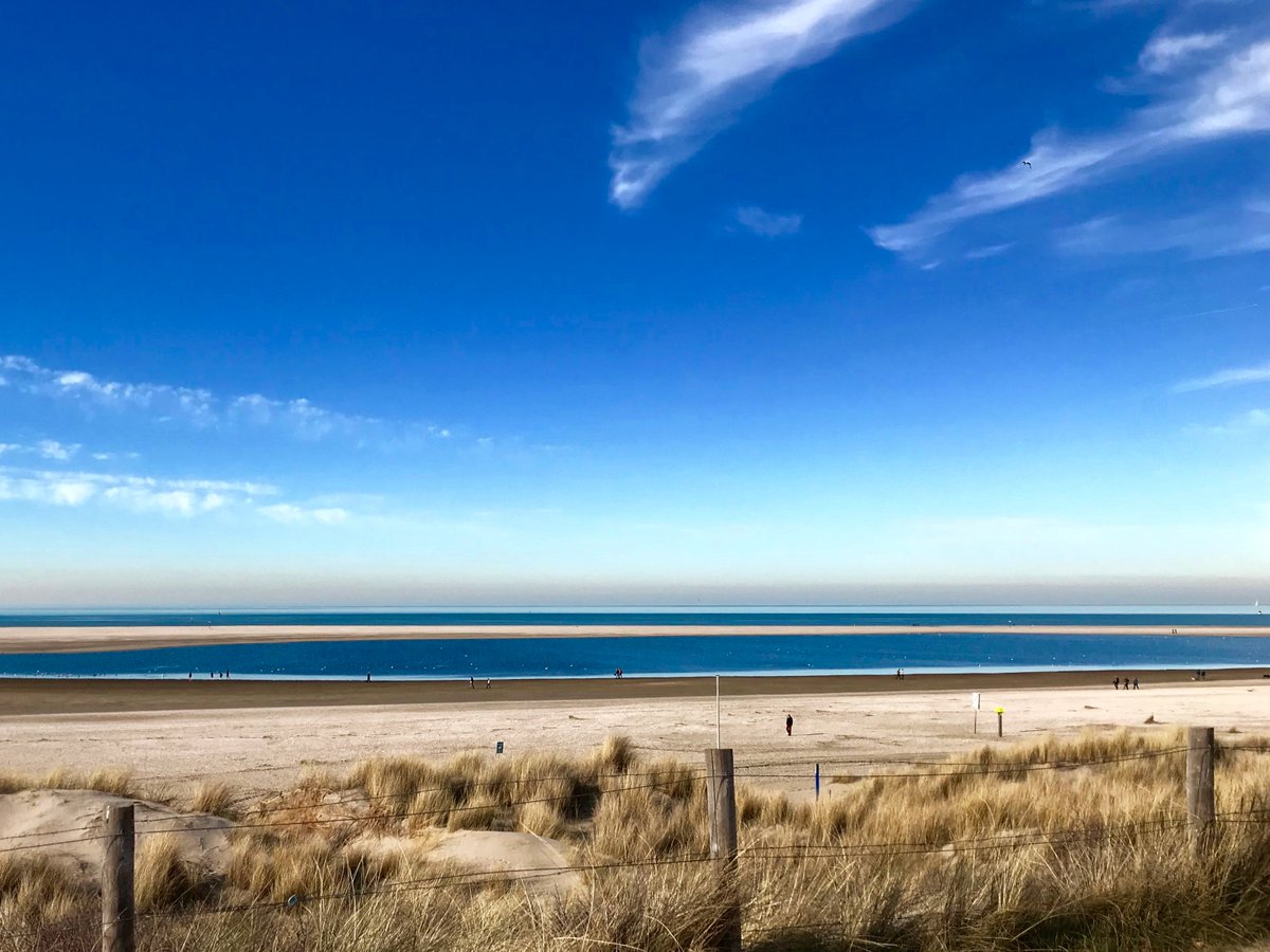 FredvanderKloor's tweet photo. #Strandmotor #TheHague #Netherlands #NorthSea @Kijkduintweets
#snapescape @SnapEscapeX
#SummerOf2019 #Kijkduin #Blue-Bluer-Bluest https://t.co/DlaBHESuWQ