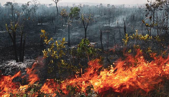 V10te's tweet photo. Incêndiamos nosso passado, incêndiamos nosso presente.
Nosso futuro será chamas. https://t.co/r84XwCQ6aV