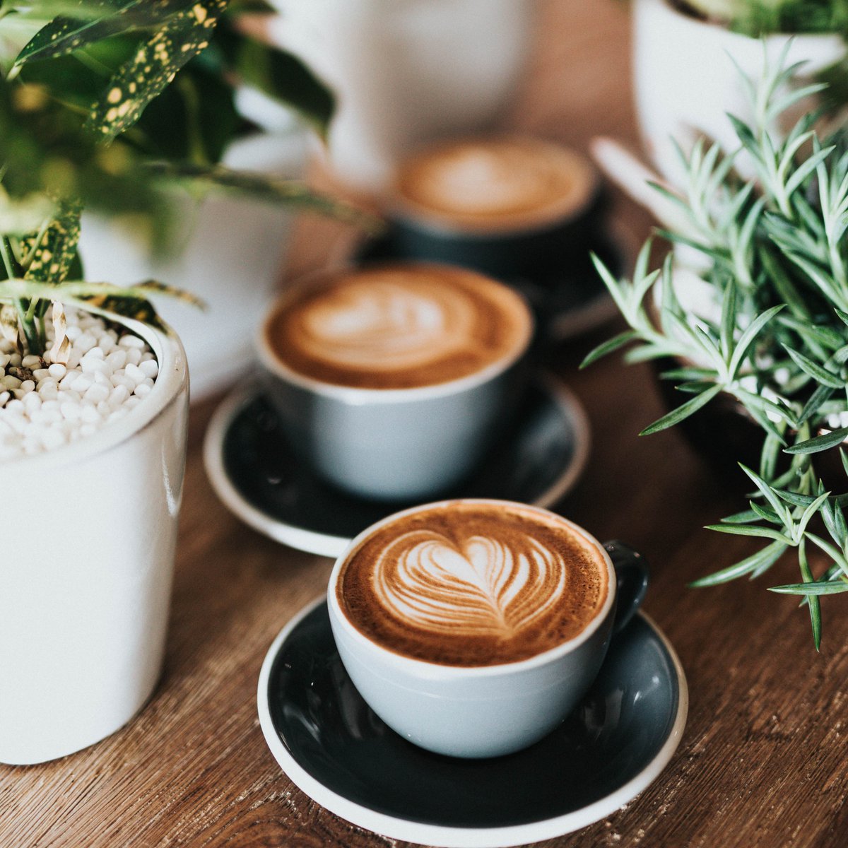 Morning coffee for the team!