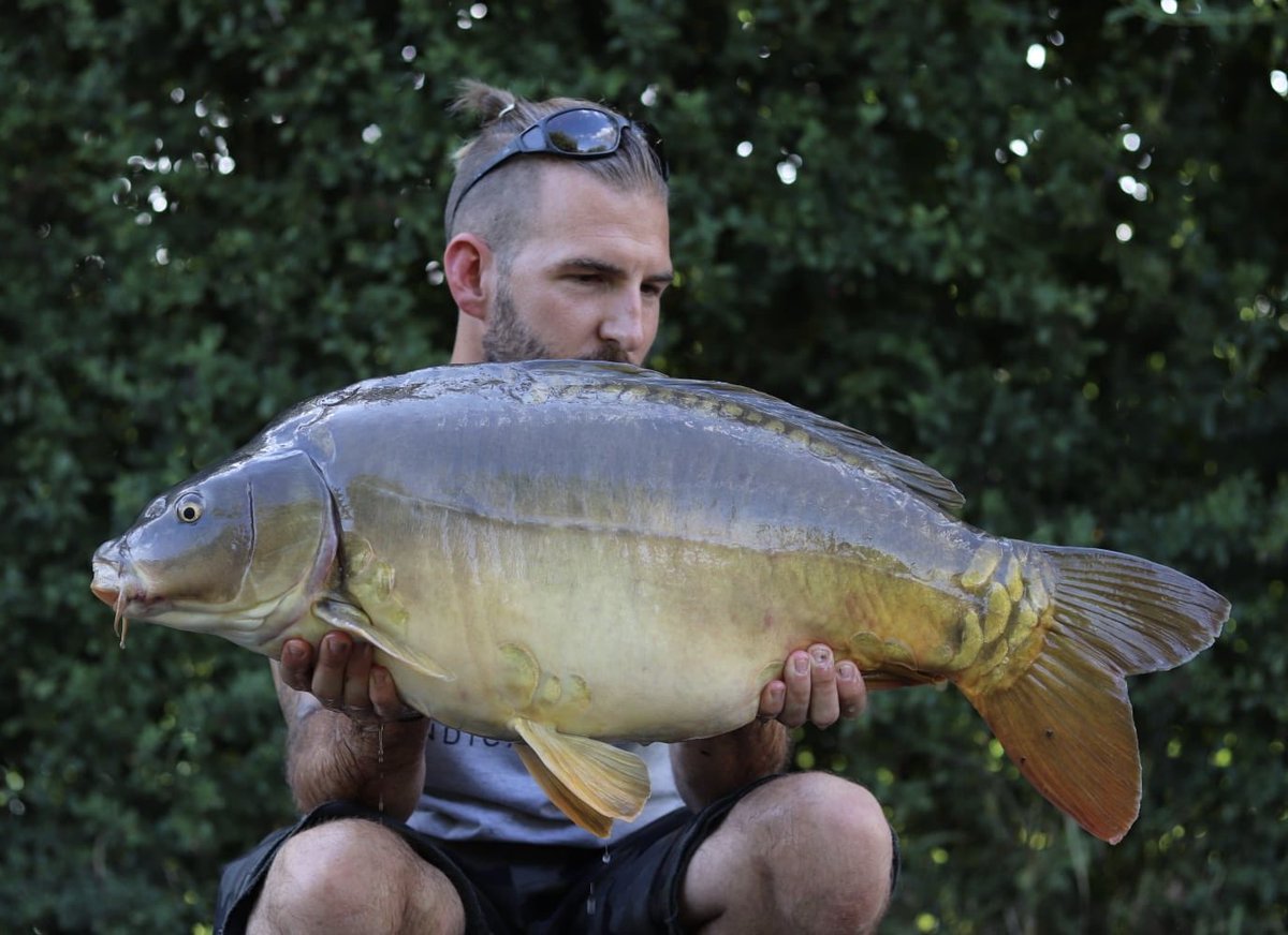 Rowe_26's tweet image. Ultimate social 🇫🇷 
What a great venue ! 
.
.
#Lacdesirè1 #MainlineBaits #Atomictackle #Gardnertackle
.
.