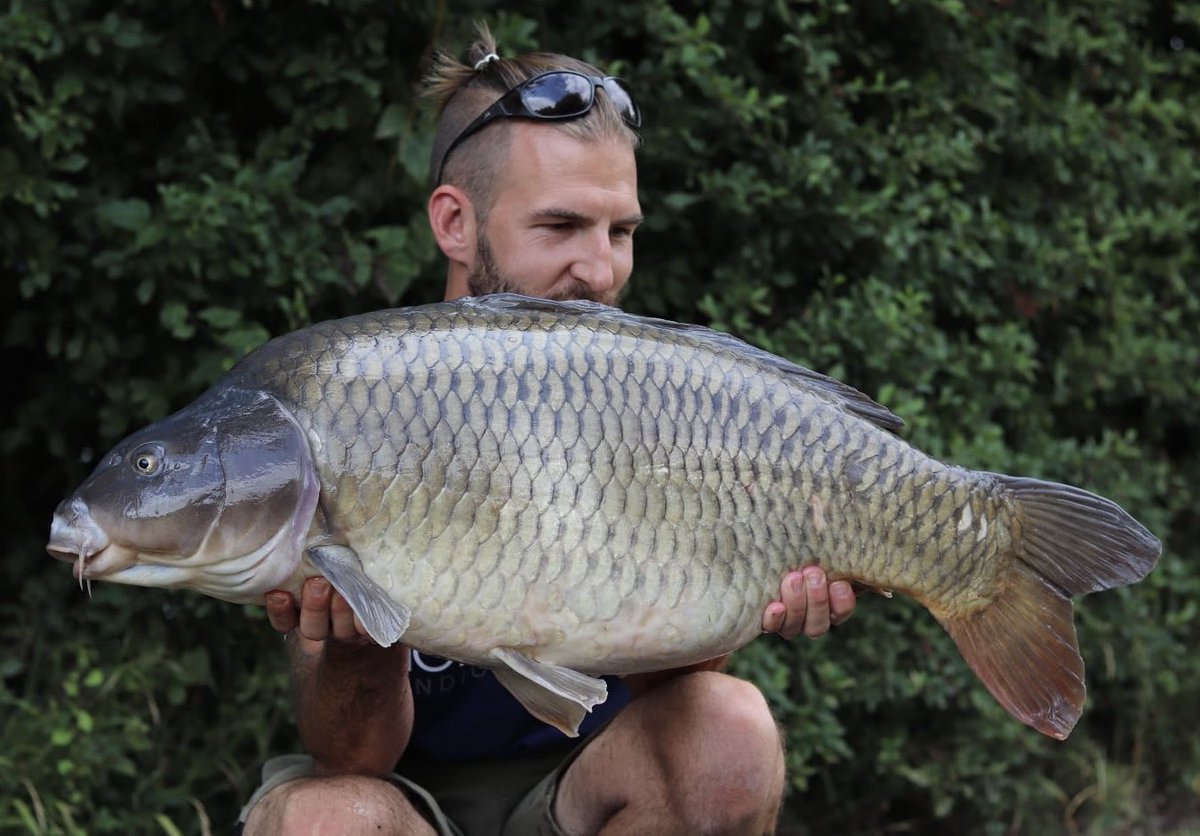 Rowe_26's tweet image. Ultimate social 🇫🇷 
What a great venue ! 
.
.
#Lacdesirè1 #MainlineBaits #Atomictackle #Gardnertackle
.
.