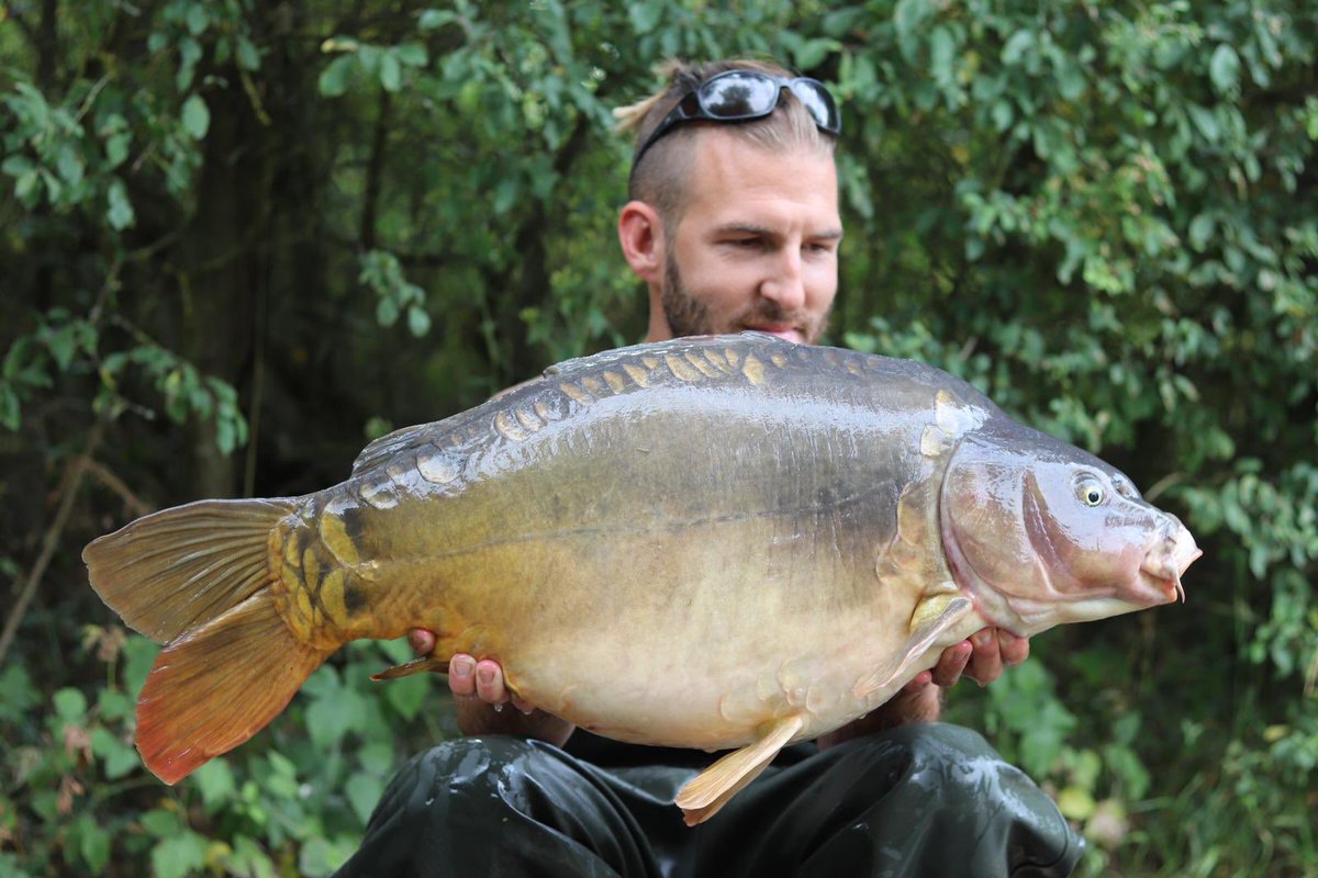 Rowe_26's tweet image. Ultimate social 🇫🇷 
What a great venue ! 
.
.
#Lacdesirè1 #MainlineBaits #Atomictackle #Gardnertackle
.
.