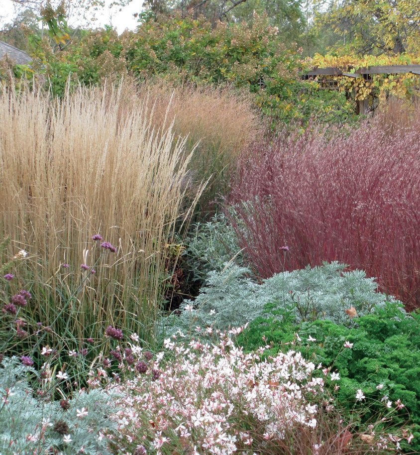 scientia_social's tweet photo. Native grasses have great #environmental benefits, such as providing habitat for #butterflies &amp; #moths. #Scientists @UMNresearch work with #garden centres to increase the volume of native grasses planted in #Minnesota. Read more: https://t.co/QdZMsP6xdr #ecology #biodiversity https://t.co/HGJHguubZw
