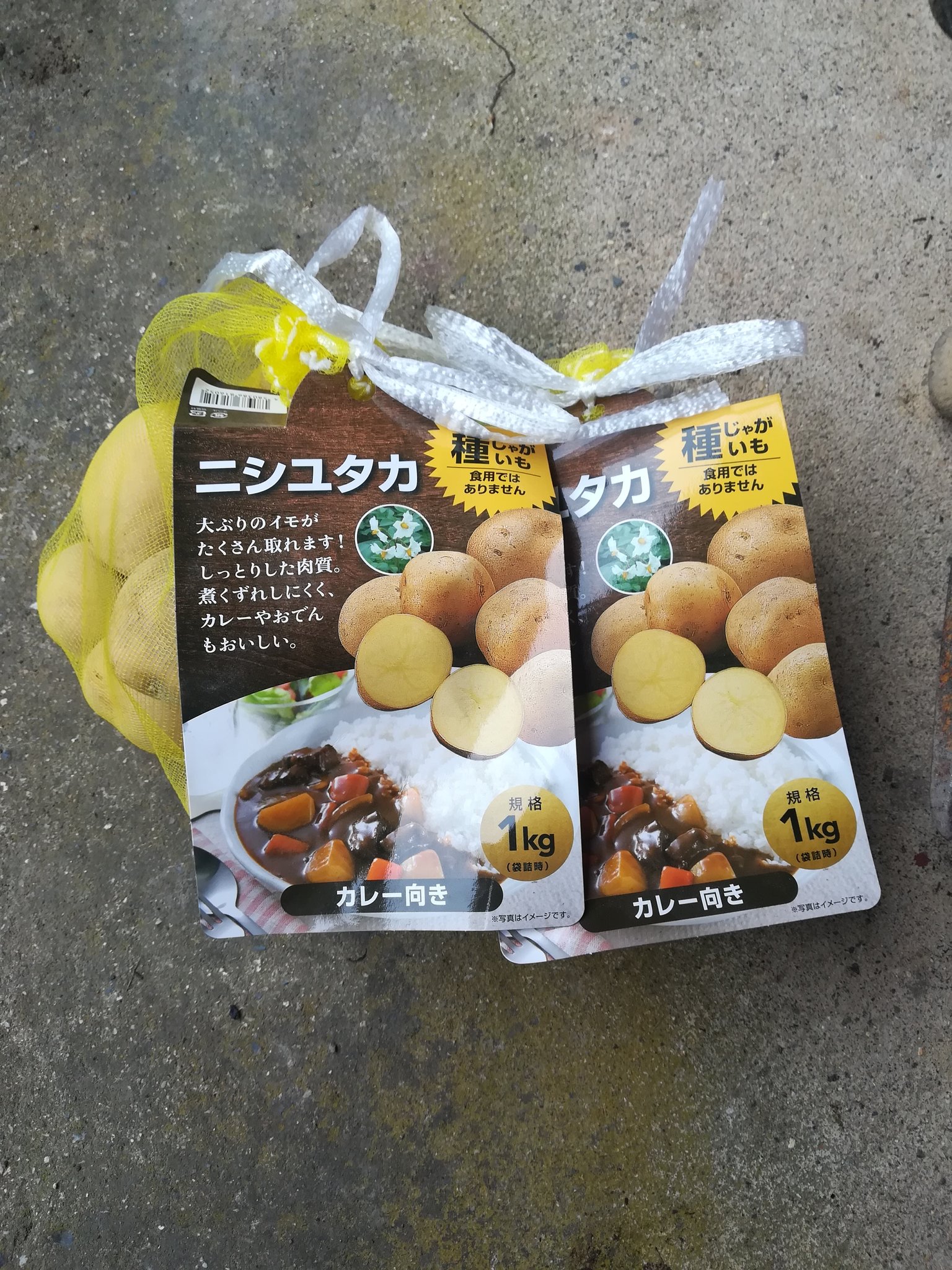 砂芽出し Twitter Search Twitter