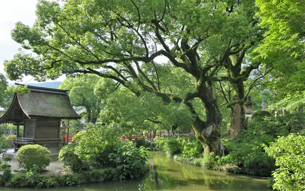 Tokyonobo's tweet image. I Stayed in Fukuoka for five days. On second day I went to Dazaifu Tenman-gū that is a Shinto shrine in Dazaifu noted in connection with the new era's name Reiwa. It is built over the grave of Sugawara no Michizane (845–903) who was a scholar, poet, and politician. #太宰府天満宮