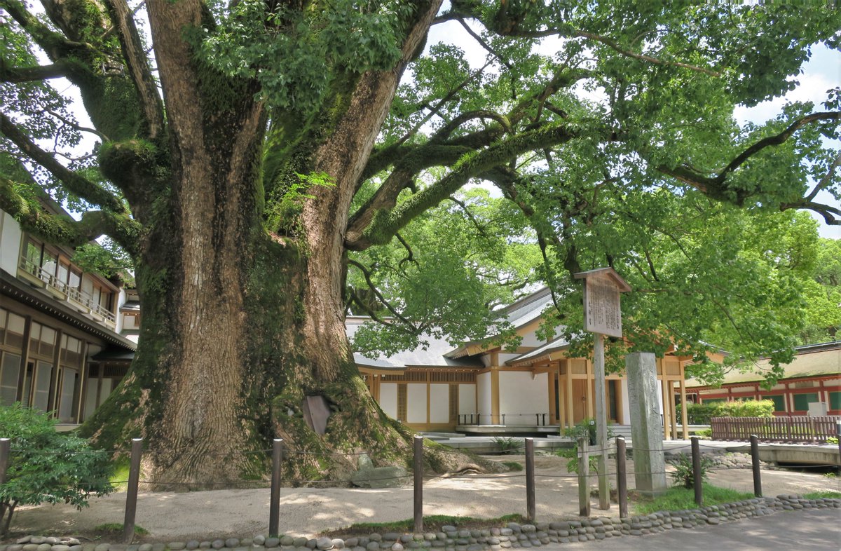 Tokyonobo's tweet image. I Stayed in Fukuoka for five days. On second day I went to Dazaifu Tenman-gū that is a Shinto shrine in Dazaifu noted in connection with the new era's name Reiwa. It is built over the grave of Sugawara no Michizane (845–903) who was a scholar, poet, and politician. #太宰府天満宮