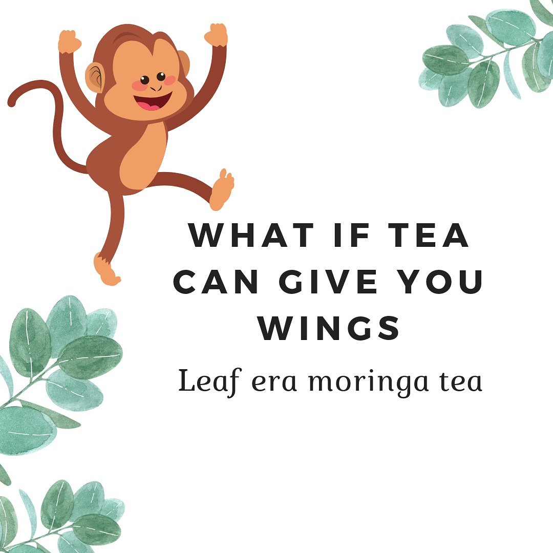 leaferaindia's tweet photo. Moringa tea.
Tea from Himalayan tree. Nature's best blessings.
#Moringatea #Treeforlife #superfood #life #healthyfood #happy #inspiration #LeafEra
https://t.co/xtDbwXcchp https://t.co/TsApRHv1DW