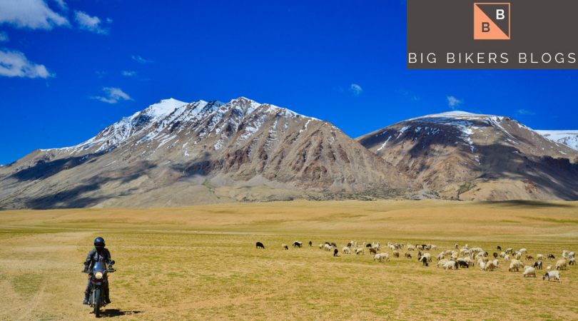 BlogBikers's tweet image. Ladakh Motorcycle Tours: The World’s Highest Passes to Hunder and Summer, and the Remote and Pristine Lakes of Tso Kar and Tso Moriri. bit.ly/2YIzcHs #Ladakh #motorcycle #tours #travels #Kashmir #travelblogs #Himalaya #mountains #JammuAndKashmir #travelphotography