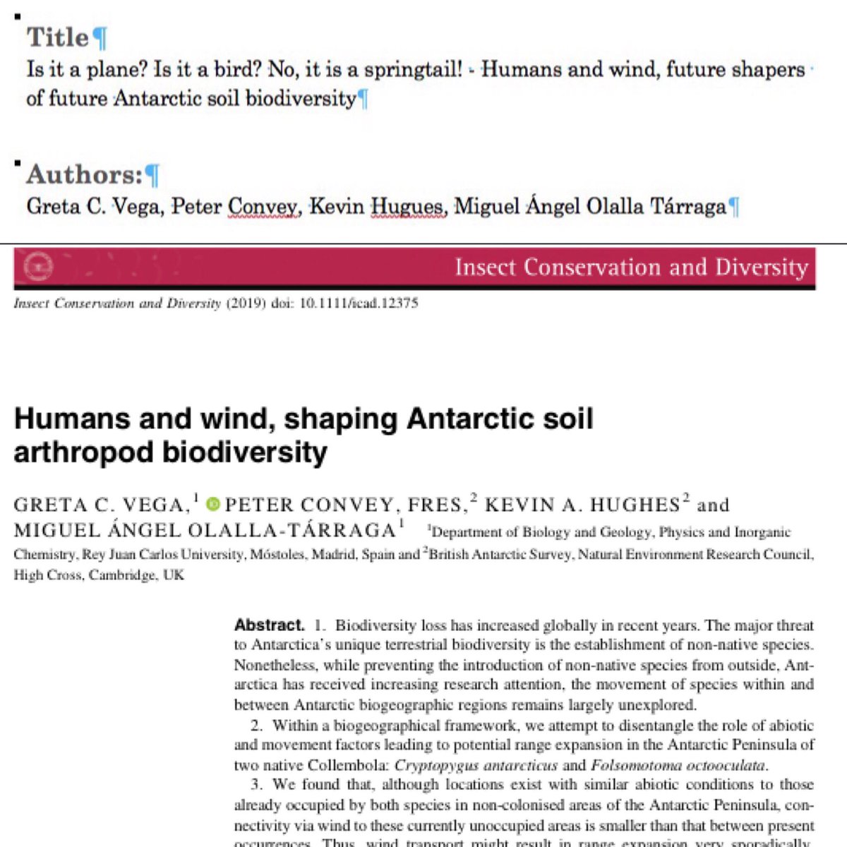 gretacv's tweet photo. Super first version of a title (including typos) vs the published version.
In a course I was told an ms at any stage should have a title.🤷🏻♀️
@SMatesanz was a witness of the first title 😆 #somescience
https://t.co/AkBL5hImCr https://t.co/FjrfsEhiZ0