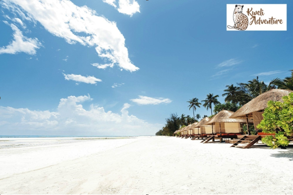 kweliadventure's tweet photo. #ZanzibarBeach is the perfect place to relax with its sandy beaches, swaying palm trees and turquoise waters – the perfect island paradise. 

Design a trip to fit your dreams &amp; budget @ https://t.co/pe8OoWMgnk. https://t.co/Ro9RW6Yf2Z