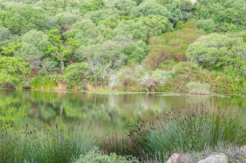 Table Mountain Fund looks to empower more conservation-minded leaders bizcom.to/1/4655 via @Biz_CSI <a href="/TMFund/">Table Mountain Fund</a> #CapeFloralKingdom