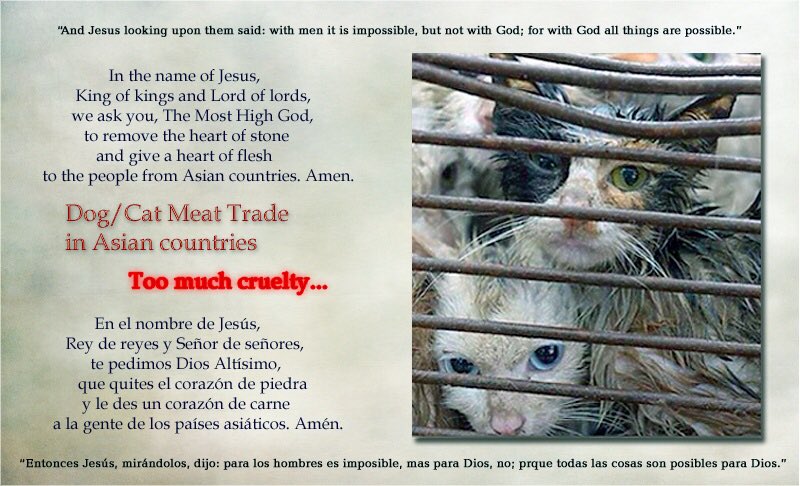 girasol2201's tweet photo. @EevaPaavilainen @GrouciDjamila @WorldandVietnam #Tourists #StopDCMT #StopAnimalCruelty #travel #travelphotography #TheDogsOfYulin
#StopTheTorture #ChooseMercyOverCruelty #Motivation #Motivación #DMFI
#DogMeatFreeIndonesia
#DogMeatFreeWorld #AnyMeatFreeWorld https://t.co/tcC58C8Prz