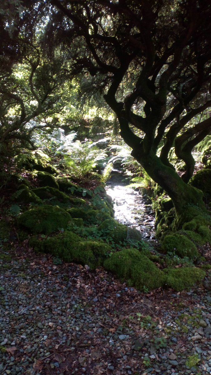 yesterday a glimpse of the most beautiful garden through a gateway onto a road I've walked hundred of times and yet never seen before. #grasmeredays #rechargingbatteries