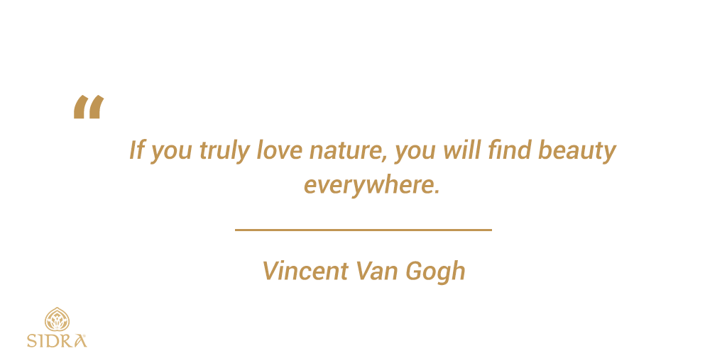GlobalSidra's tweet photo. Nature has it all, and its beauty reflects on you when you choose to love it and its products.
.
.
.
#naturebeauty❤️ #benaturallybeautiful #beautyjourney #healthandwellnesstips #naturalbeautycare #embracenature #beautyquotes #beautyquotesoftheday #naturebeauty🍃 #enhancebeauty https://t.co/dMGJAefbuP
