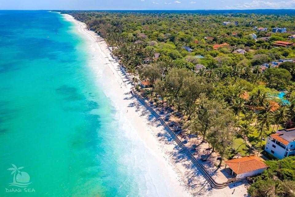 JamboMagazine's tweet photo. Images that whet your appetite for holidaying. Diani. ❤️❤️
Ranked the best in Africa and among the world's beautiful beaches. https://t.co/R5KQlVb3Ct