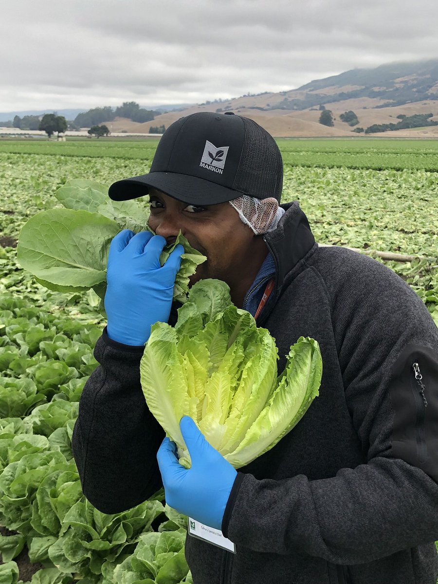 Kevin M Kimbrough tweet media