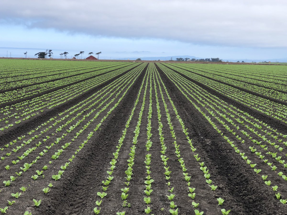 Kevin M Kimbrough tweet media