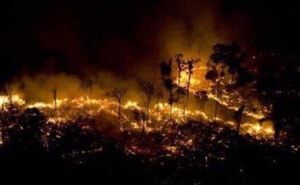IbonPerezTV's tweet photo. El Amazonas, el pulmón del mundo y hogar de más de 600 especies, lleva 16 días ardiendo  y NADIE DICE NADA. 
Cuando se quemó Notre Dame se declaró una tragedia mundial y en sólo días se recaudaron 218 millones de euros para reconstruirlo.

El planeta no muere, lo estamos matando. https://t.co/FrYtikoUMb