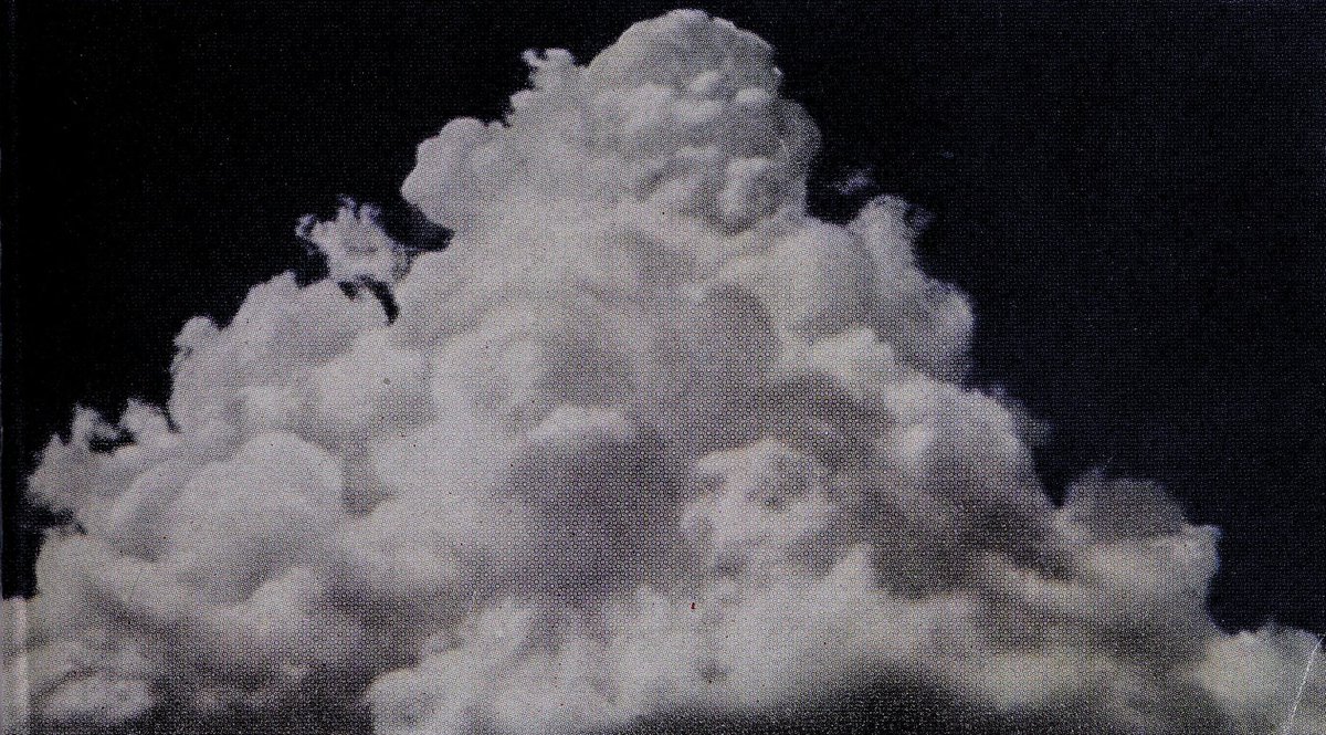 Trending on Nemfrog tweet media