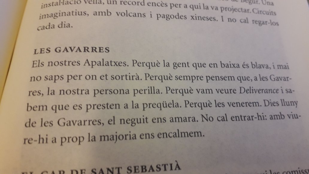 Ferran McArtin tweet media
