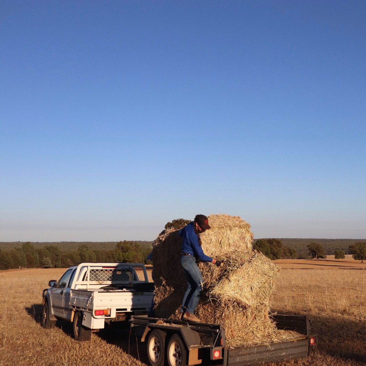 'Growing up women were the lifeblood of our family farm.' Check out this photographic essay by student photographer Benita Woodley who reflects on the role of women, and the impact of drought, on her 6th generation family farm in Wongarbon NSW: invisiblefarmer.net.au/blog/lifeonthe…