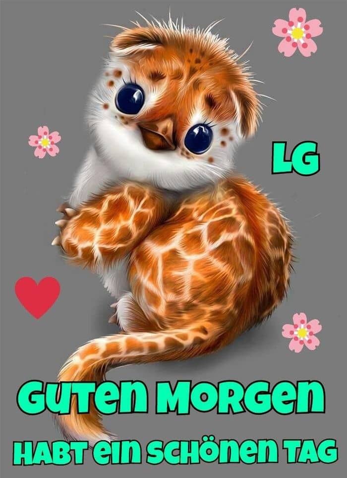 Failjack1's tweet photo. Ich wünsche euch allen einen Wunderschönen Guten Morgen meine Lieben 👋☀️☕️☕️

Habt alle einen schönen Mittwoch 👍❤️

#Gerritkillerine #simone_witty #hotzeplums #shannaria_DE #_Unbesiegt_ #Yunakura_DE  #PrimeNightRT #GermanMediaRT #LionUpNetwork1 #PrimeNightTV #RealBoomplace https://t.co/9pjDvQ1CWo