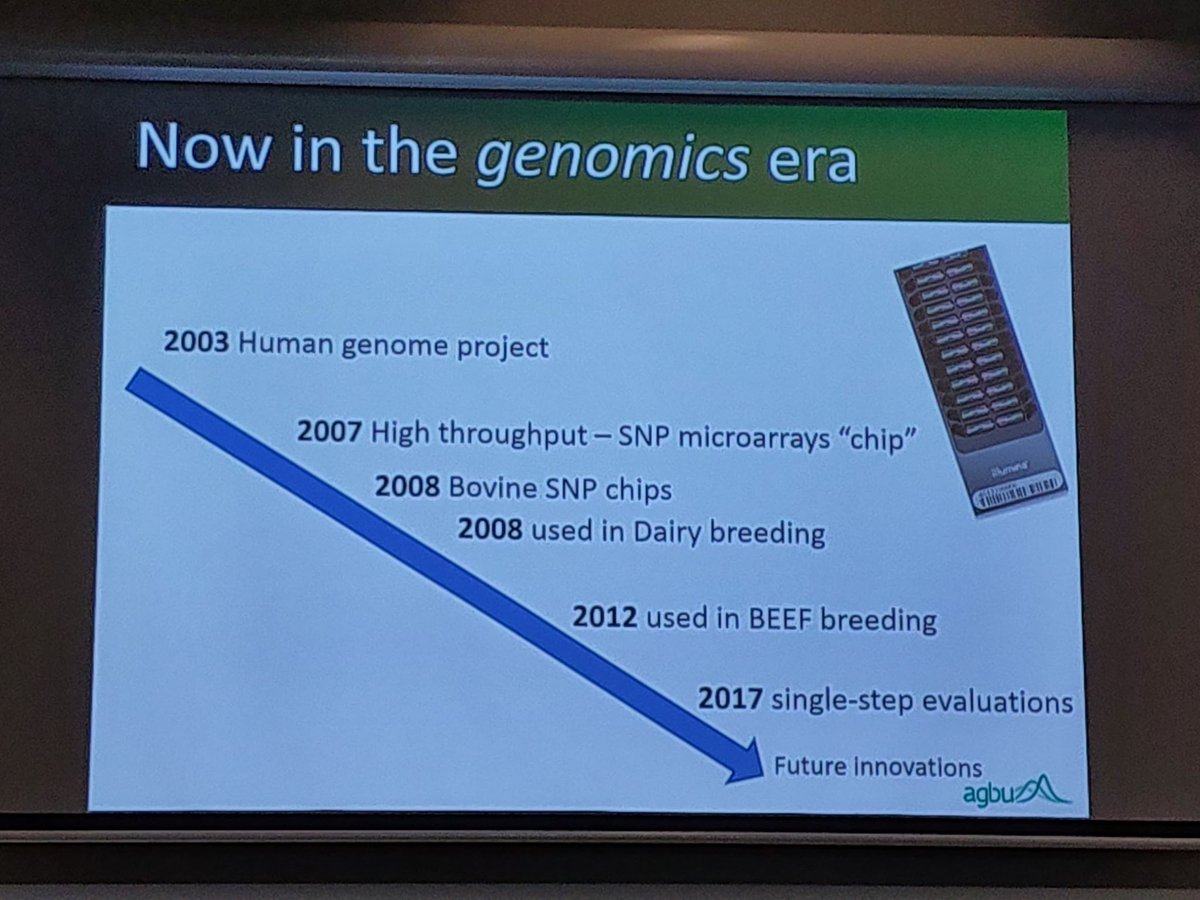 AGBU_GENE's tweet photo. David from @AGBU_GENE at #NBRUC2019 outlining methods for "Selection for reproductive performance" #Genomics #Repronomics @meatlivestock @nswdpi @UniNewEngland https://t.co/SB1kQdDdoK