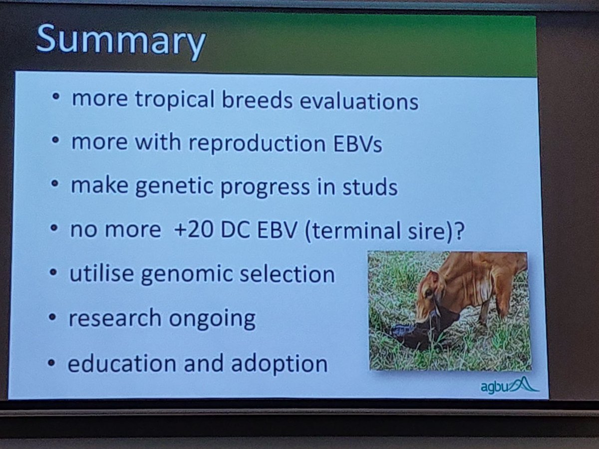 AGBU_GENE's tweet photo. David from @AGBU_GENE at #NBRUC2019 outlining methods for "Selection for reproductive performance" #Genomics #Repronomics @meatlivestock @nswdpi @UniNewEngland https://t.co/SB1kQdDdoK