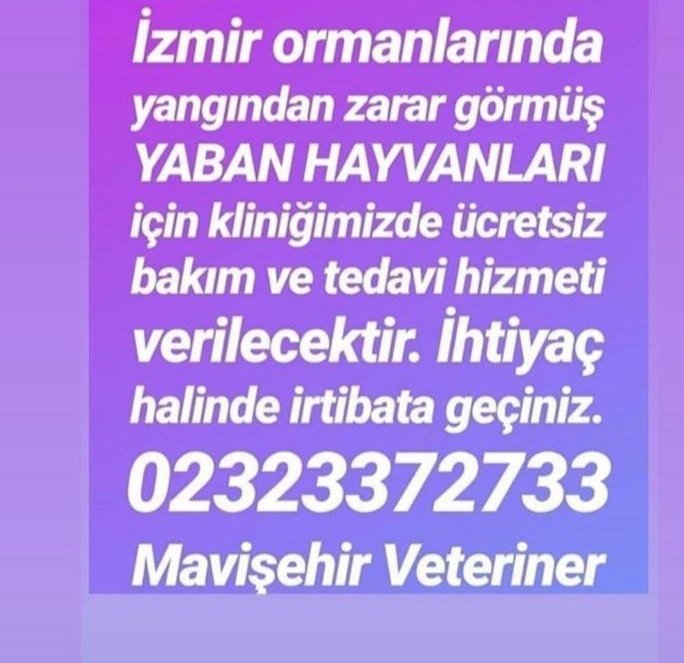 ATuncayOzkan's tweet photo. İzmir yaralarını sarmak için seferber oldu. Orman yangınlarında yaralanan can dostlarımızı aşağıdaki veterinerlerde ücretsiz tedavi ettirebilirsiniz; https://t.co/ermDXBlesL