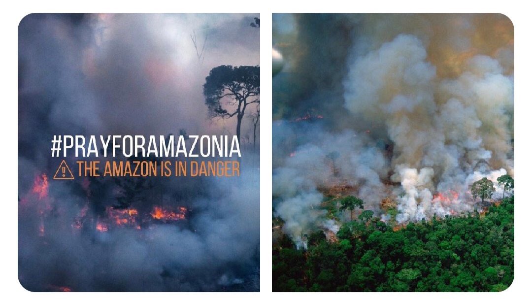 ErinKate's tweet photo. #savetheamazonia #bringawareness #mediadobetter #worldnews #theamazonisburning #amazononfire #takecareofourplanet #helpourworld #awareness #payattention #helptheamazon #respectourmother #oneplanet #forestfires #theamazon #southamericaonfire
#fireinamazon #noplanb https://t.co/bA0LUdiAe2