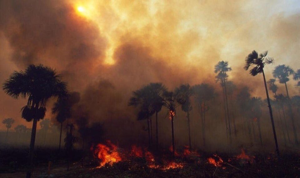 nikhilshahaney2's tweet photo. Horrifying that the Amazon rainforest which produces 20% of the earths oxygen has been burning to the ground for the last 3 weeks!! Where the hell is the media coverage about all of this? Our earth is dying and nobody wants to do anything about it, fucking sad. #PrayforAmazonia https://t.co/95RBssUiLN