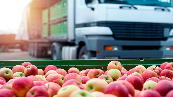 BLOG: La importancia de la producción de frutas en el sector logístico.

🍎 En este artículo te explicamos cuál es el rol que juega la logística en este espectacular desarrollo del sector de las frutas y las verduras españolas.

➡️ servicoloriberia.com/produccion-fru…