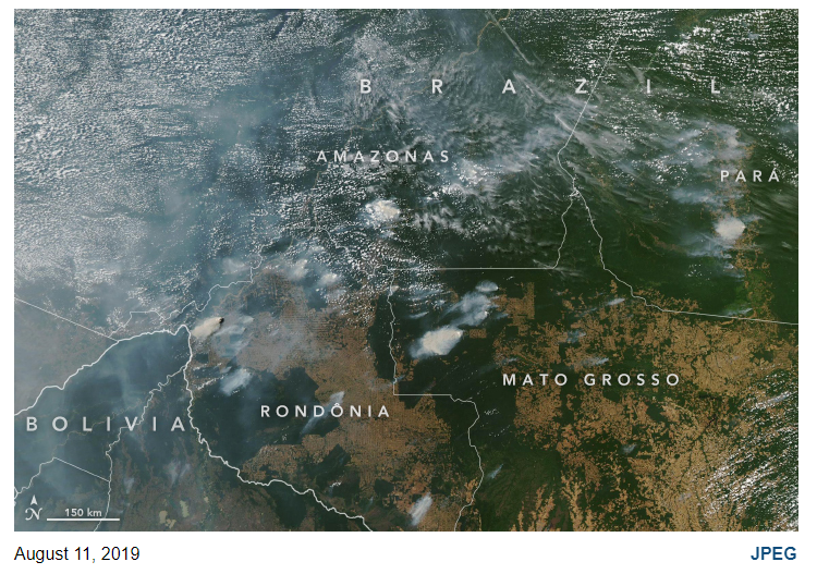 PhilippineStar's tweet image. AMAZON FIRE SEEN FROM SPACE 

LOOK: Huge pillars of thick smoke coming from a wild forest fire razing the Amazon rainforest for weeks were seen from space. | (Photos courtesy of NASA Earth Observatory)