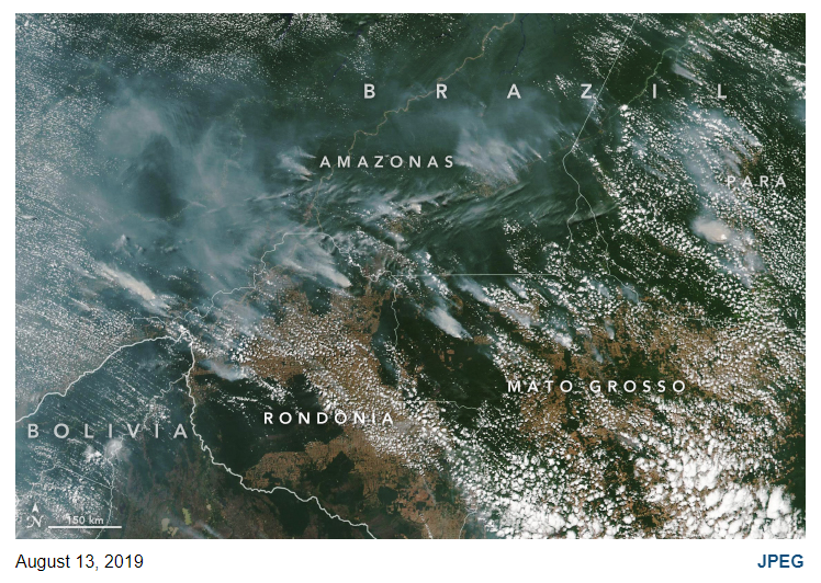 PhilippineStar's tweet image. AMAZON FIRE SEEN FROM SPACE 

LOOK: Huge pillars of thick smoke coming from a wild forest fire razing the Amazon rainforest for weeks were seen from space. | (Photos courtesy of NASA Earth Observatory)