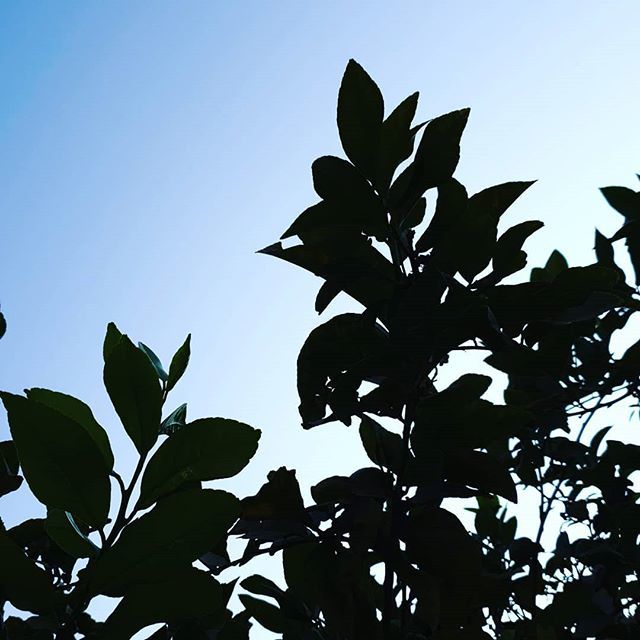 EtihadNational's tweet photo. صباح الخيرات https://t.co/bGpnTpBVP2 https://t.co/mrwRfvxNKX