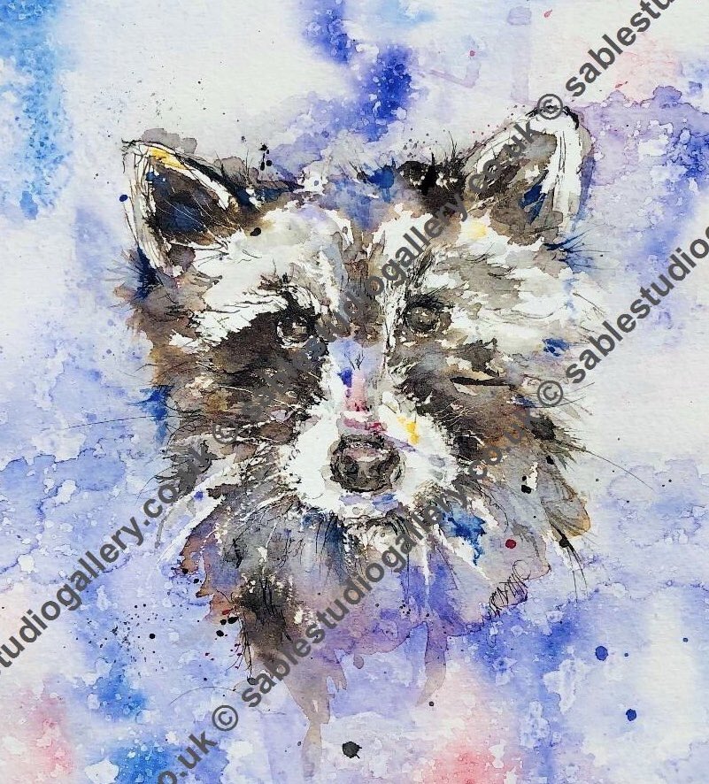 JoAllsoppSable1's tweet photo. Raccoon painted by Jo Allsopp at Sable Studio Gallery #Raccoon #animal #wildlifeart #watercolor https://t.co/9FiUtjjrdn