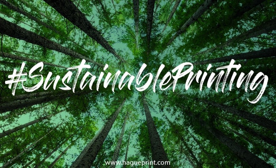 HaguePrintUK's tweet photo. Despite what you might think, the #PrintIndustry can be #Sustainable https://t.co/4hoA1okxWH #Sustainability #GoGreen #EcoFriendly #CarbonFootprint https://t.co/SKid5YWI6K