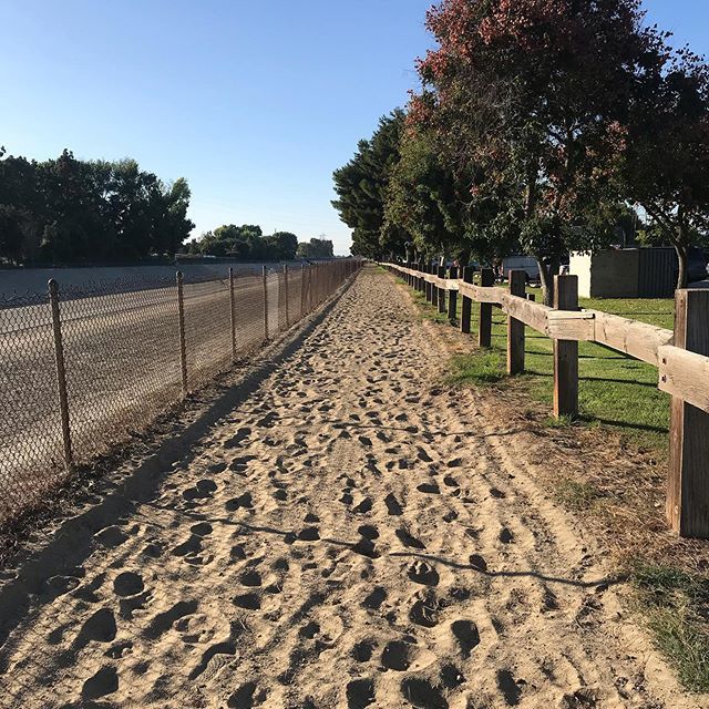 bit_active's tweet image. The horse trail at Rynerson Park is a nice view. .
#horseriding #horse #equestrian #horses #horsesofinstagram #equine #dressage #showjumping #instahorse #equestrianlife #pony #horsephotography #horselove #horselover #horserider #horsebackriding #horselif… ift.tt/2zdYSB4
