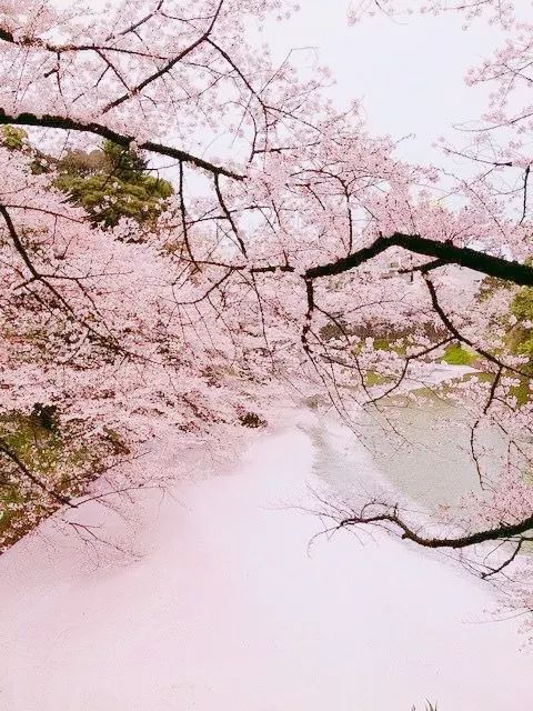 So fucking beautiful 💖 https://t.co/0pNagFm0vk