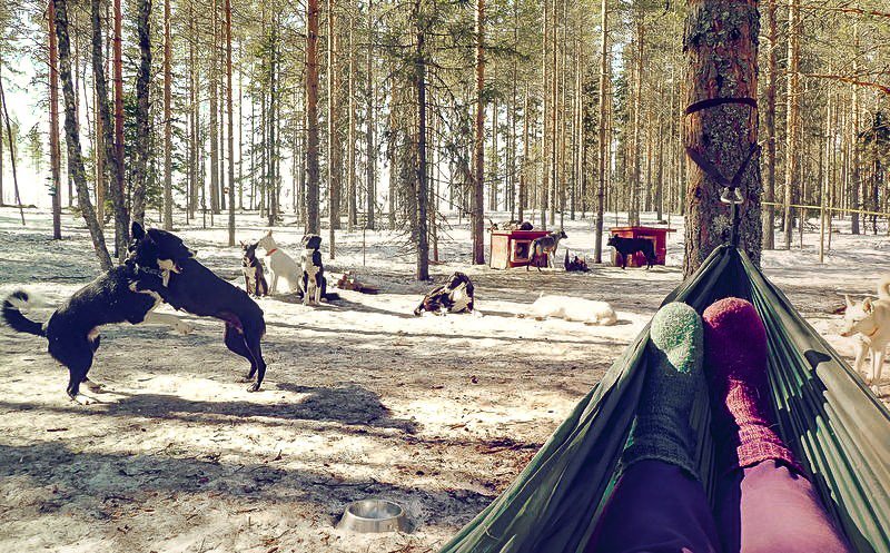 Kerrostalon kasvatti muutti mummonmökkiin Lieksaan ja pärjää erakkona pikkurahalla – Eliisa Kiiskinen elää omannäköistään elämää retkipaikka.fi/kerrostalon-ka…