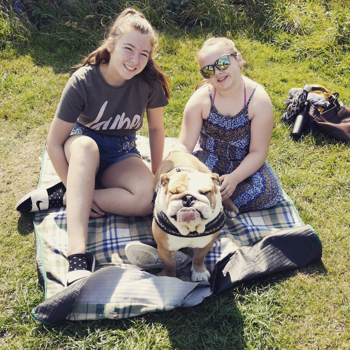 Lindsay Carrington tweet media