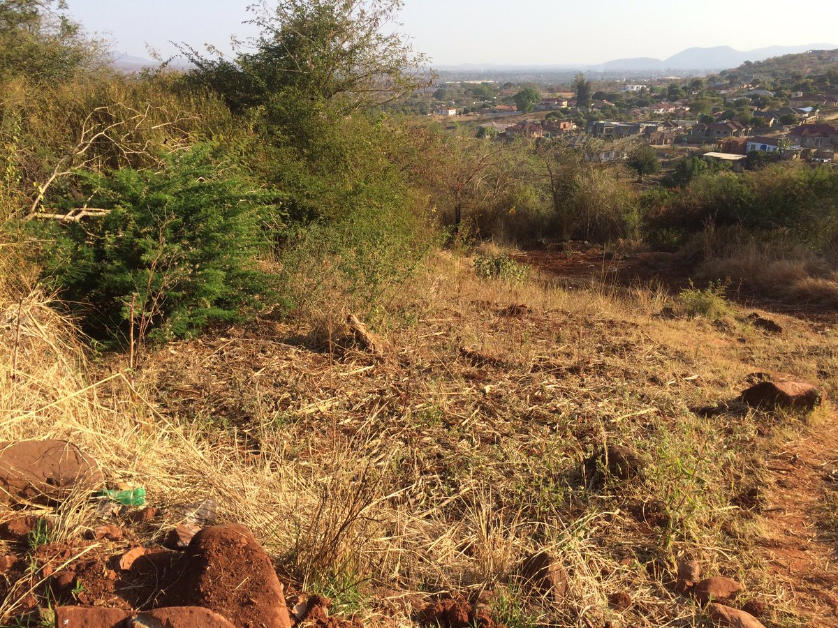 Thakhani_R's tweet image. 770 m² stand in Thohoyandou Unit E close to Sibasa R180k