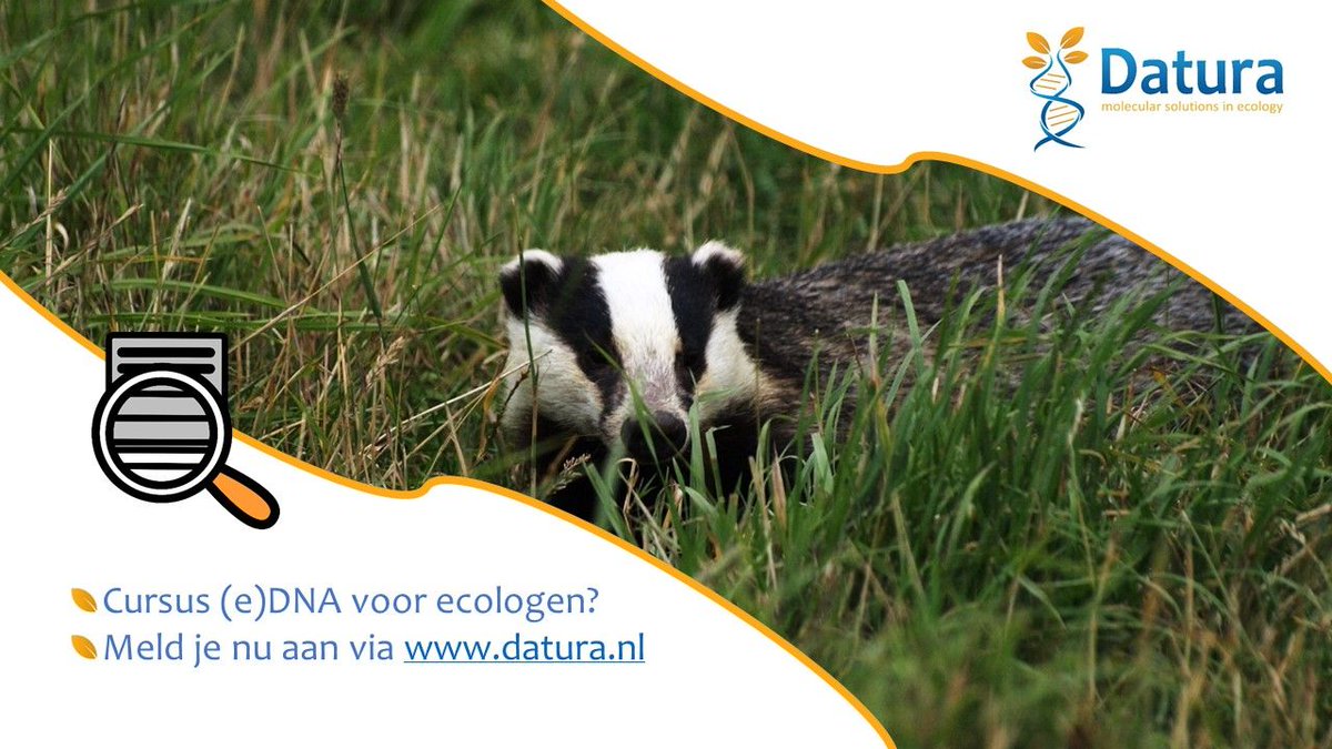 DaturaDNA's tweet photo. Meld je via onze website > 'Workshops' aan voor de cursus (e)DNA voor ecologen. Geen ecoloog, maar wel geïnteresseerd? Ook welkom! De eerstvolgende cursus wordt gegeven in november 2019. VOL = VOL #DaturaDNA #leermeer #environmentalDNA #ecologie #veldwerk https://t.co/SHzlEgpc98