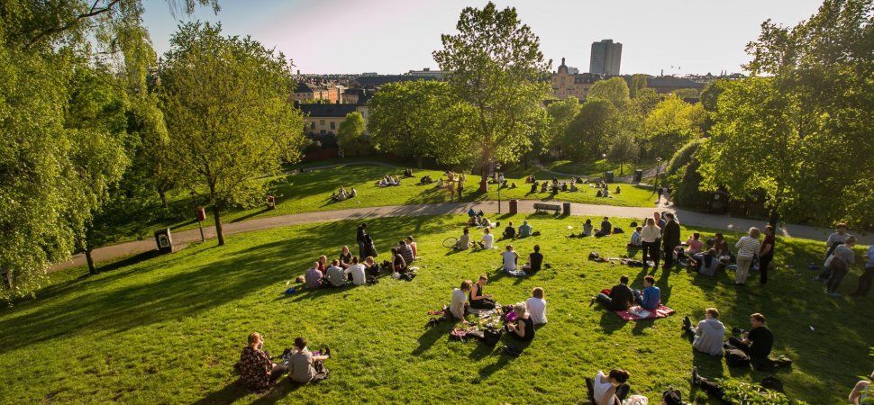 The Daisy Chain tweet media