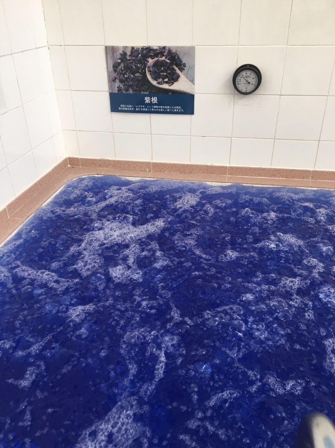 小杉湯 高円寺 昭和8年創業 8月21日 水 今日の小杉湯 は あつ湯 紫根 ジェット風呂 エプソムソルト ぬる湯 ミルク風呂 紫根 シコン とは ムラサキ という初夏 夏にかけて白い花を咲かせる 名前はムラサキなのに 植物の根っこです