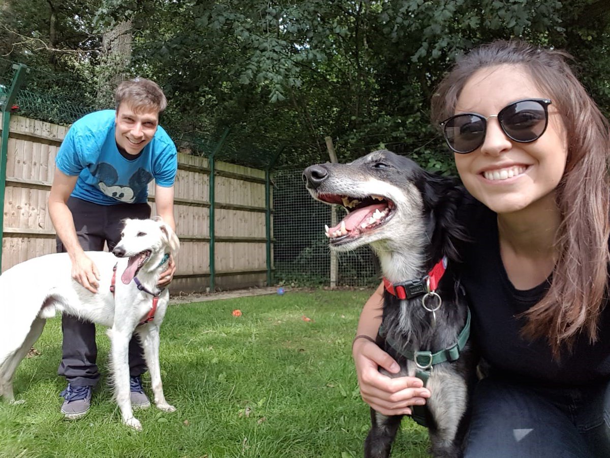 Team <a href="/AGasLtd/">A-Gas</a> doing a fantastic job volunteering at <a href="/Holly_Hedge/">Holly Hedge</a> last week! May have to change career path from marketing to dog cuddling. 
#volunteering #team #rescuedogs
