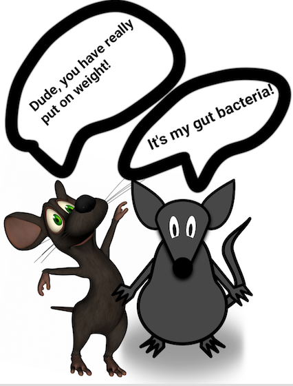 realSTEMsocial's tweet photo. Miscommunication between T-cells and microbiome makes mice fat
Scienceblocks discusses today a recent scientific publication (by Peterson and collaborators) on T cells and the microbiome in mice.
https://t.co/9s0eRalGu0
#stem #science #blog #steemstem https://t.co/21FAVf4VDJ